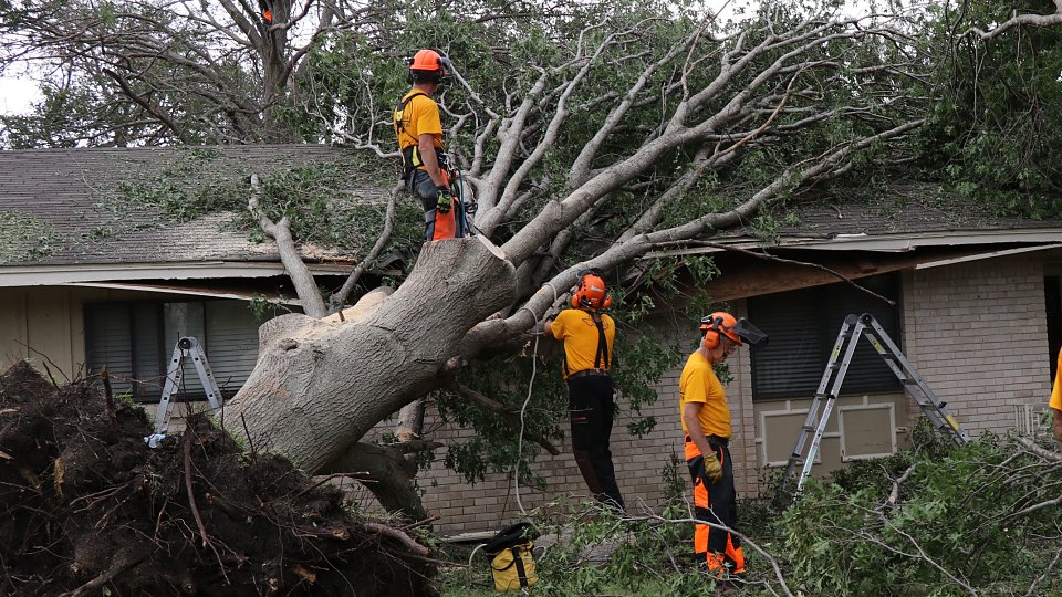 dallas chainsaw disaster relief